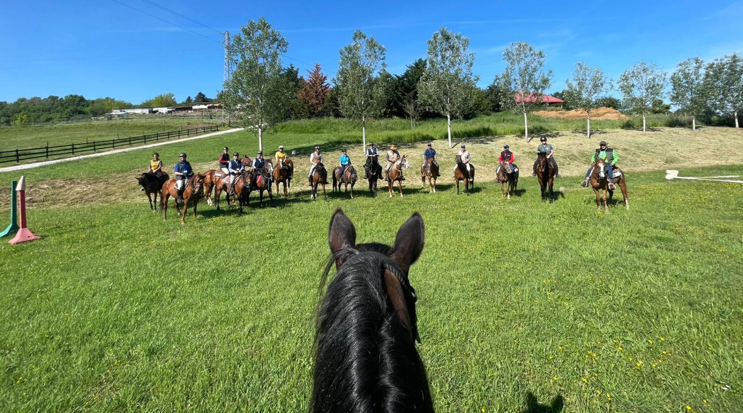 compagnia dei cavalieri rotariani passeggiata a cavallo